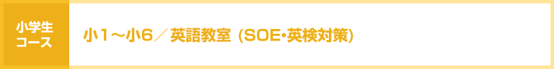 ��1�`��6�^�p�ꋳ��(�L�b�Y�E�p���΍�ESOE)