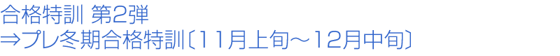 ���i���P ��2�e �˃v���~�����i���P�k11����{�`12�����{�l