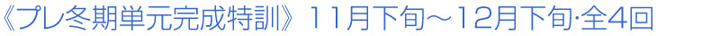 �s�v���~���P���������P�t�@11�����{�`12�����{�E�S4��